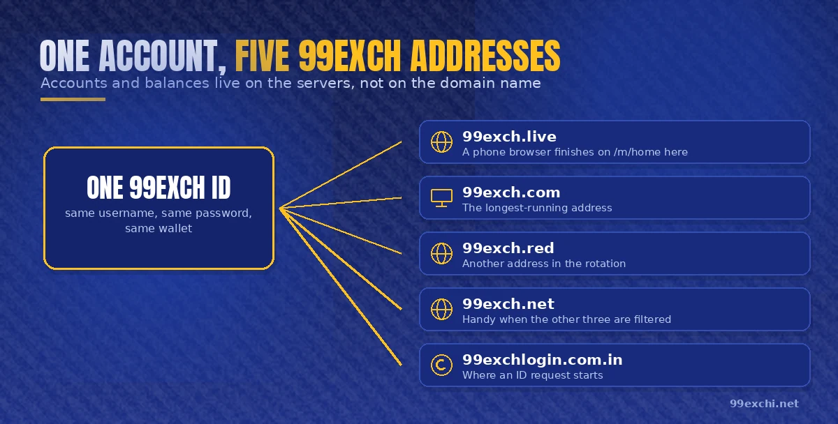 One 99exch ID wired to five verified addresses, each carrying a note on when it is the useful one